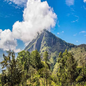 Apiwa danna Apith danna