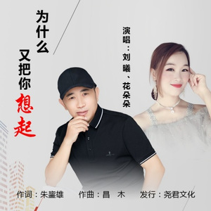 为什么又把你想起(对唱)