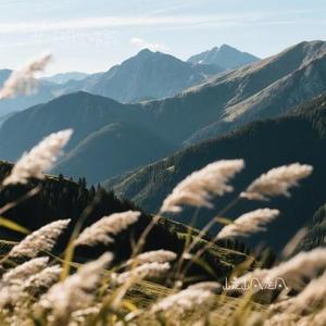 山是山风是风 (Cover 王一佳)