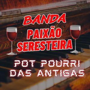 Você Não Me Ensinou a Te Esquecer