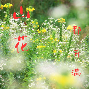你看山花都开满
