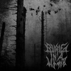 Poem of a Dying Fetus