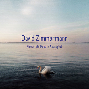 Verwelkte Rose in Abendglut