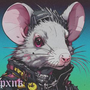 pxnk (feat. ankhsiyete)