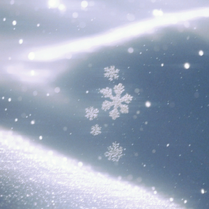 夏天等不到雪落（降速版）