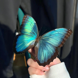 Nothin On Me（Vodax Reast）