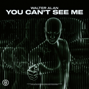 You Can't See Me (Extended Mix)