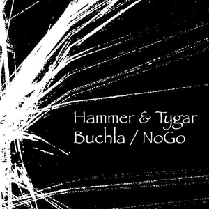 Buchla (Original Mix)