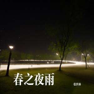 春之夜雨