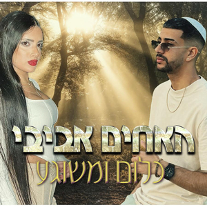 כלום ומשוגע (האחים אביבי)
