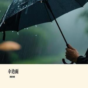 伞边雨