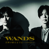 WANDS - 世界が終るまでは...[WANDS 第5期 ver.]