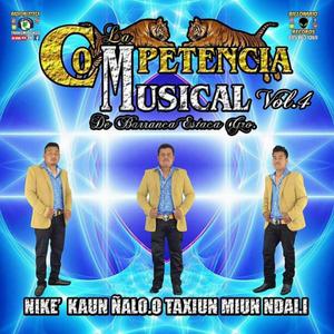 Ndia veka chikaun yu vichin