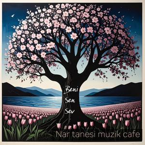 Beni sen sev