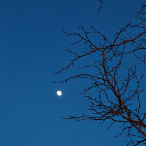 在孤独与责任中成长