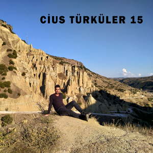 Saçlarını Taramışsın