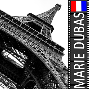 Le fanion de la légion