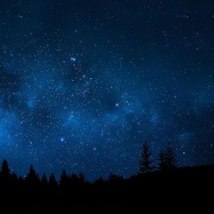 不计辛劳的奋进(7)