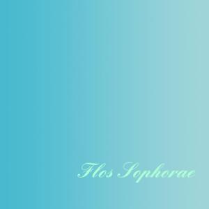 Flos Sophorae