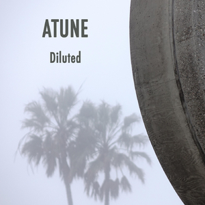 Diluted