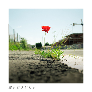 僕の好きなもの