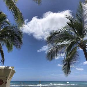 ZAYN / Sia-Dusk Till Dawn（SKGYR remix）