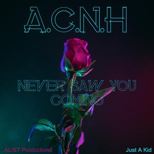 Never Saw You Coming