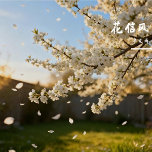 花信风