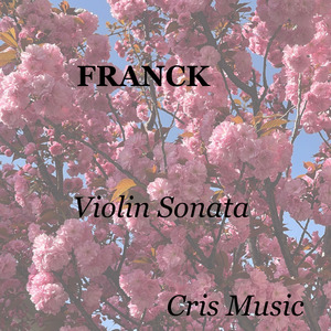 Franck: Sonata in A Major for Violin and Piano: I. Allegretto ben moderato