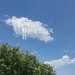释怀是云淡风轻