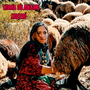 Degidi