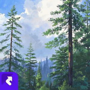 岁月的变迁 (现场)