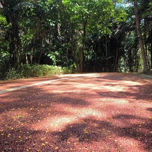 绝望中仍有一线生机（打游戏～冥想～写作业））
