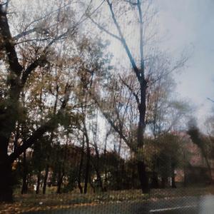 ноти на стелі старої кухні