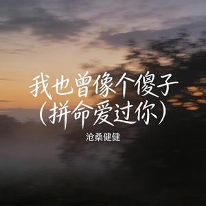 我也曾像个傻子（拼命爱过你）