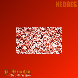 Hedges
