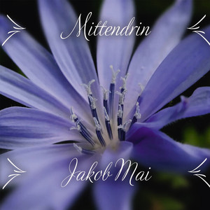 The Spirit of Dancing