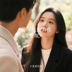若不是因为你 (Cover 林栖)
