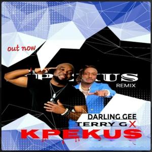 Kpekus (feat. Terry G)