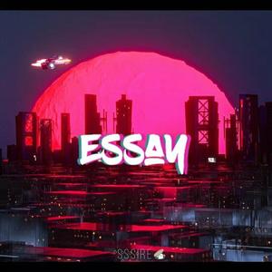 Essay
