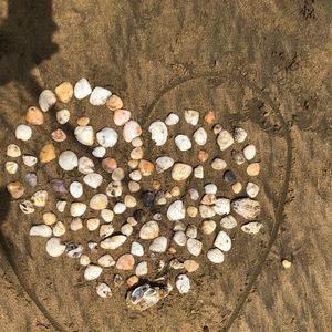 真心真意谢谢你