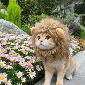 让过去过去，给开始开始