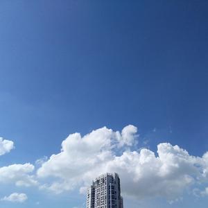 夏风