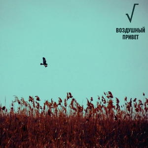 Воздушный привет