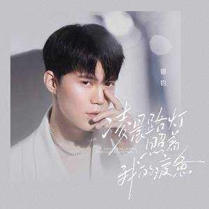 凌晨路灯照着我的疲惫