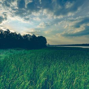 Lakefront