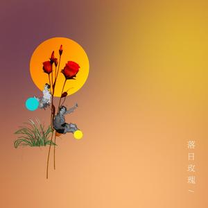 落日玫瑰