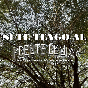 Si Te Tengo al Frente (Remix)