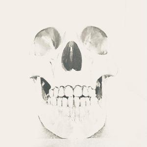 I’m Not Old, I’m Just Stupid