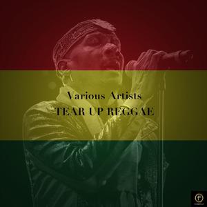 I Won't Leave You Anymore